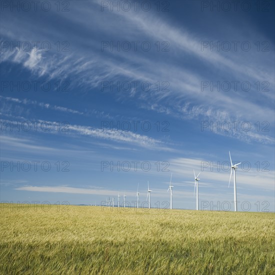 Windmills in a row on wind farm. Date : 2008