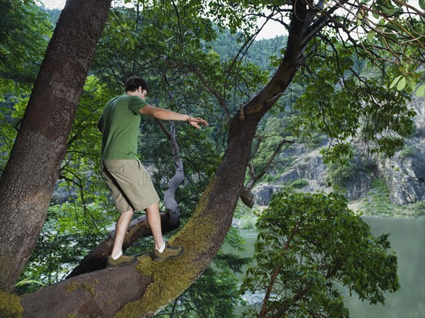 Man walking out on large tree branch. Date : 2008