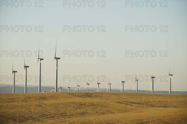 Rows of windmills on wind farm. Date : 2008