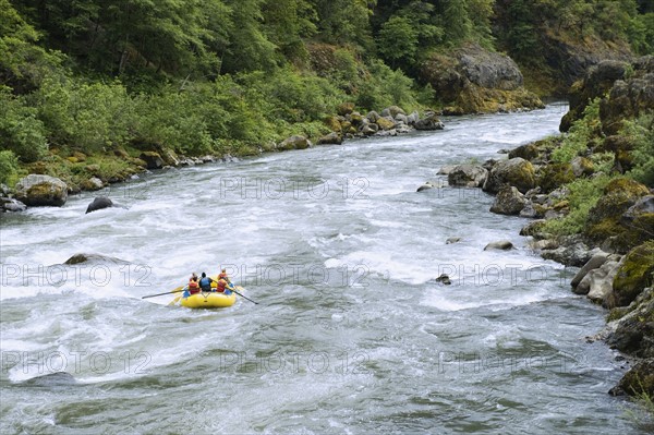 Group whitewater rafting. Date : 2008