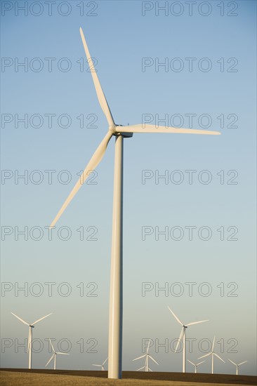 Rows of windmills on wind farm. Date : 2008