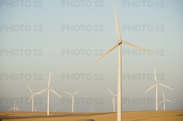 Rows of windmills on wind farm. Date : 2008