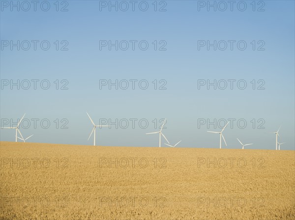 Row on windmills on wind farm. Date : 2008