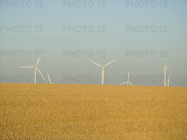 Row of windmills on wind farm. Date : 2008