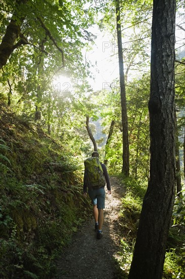 Hiker on forest trail. Date : 2008