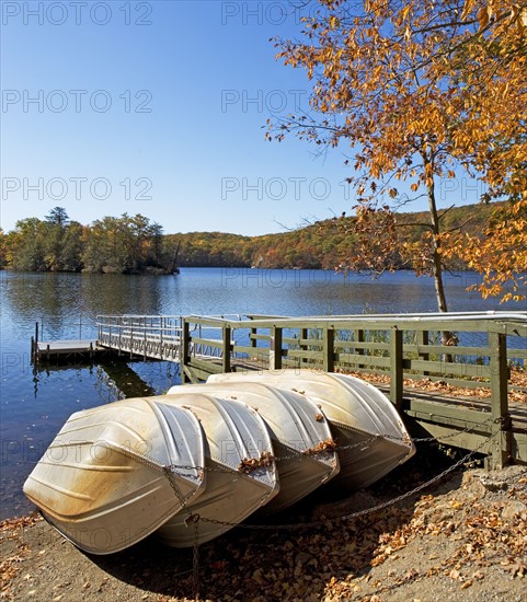 Row boats tied to dock. Date : 2008