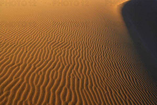 Sand striations of Namibia coast. Date : 2008