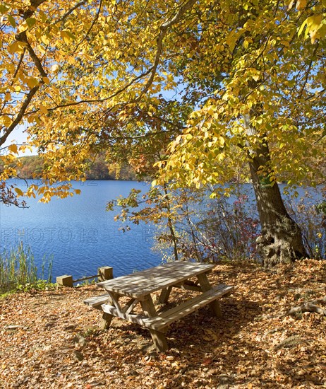 Picnic bench in autumn leaves at edge of lake. Date: 2008