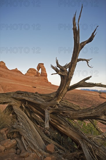 Delicate Arch of Arches National Park, Utah.