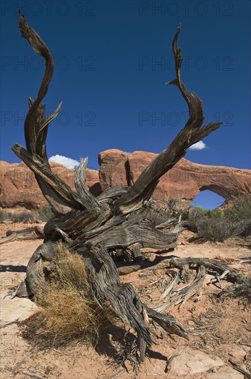 North Window Arch of Arches National Park, Utah.