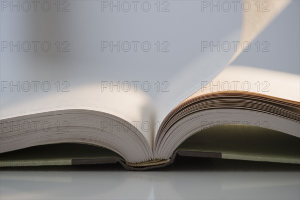 Close up of open book.