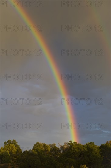 Rainbow and storm clouds, Grand Canyon, Arizona.