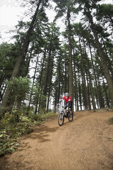 Mountain biker riding in forest. Date : 2008