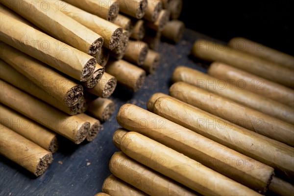 Handmade cigars. Date : 2008