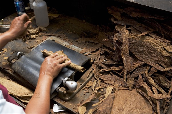 Man hand-rolling cigars. Date: 2008