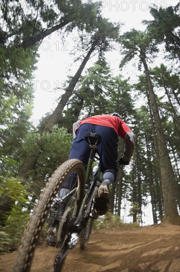 Mountain bikers riding in forest. Date : 2008