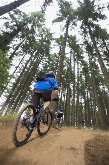 Mountain bikers riding in forest. Date : 2008