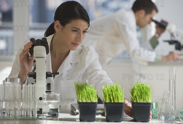 Scientist examining plants in pharmaceutical laboratory.