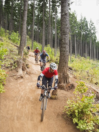 Mountain bikers riding on forest trail. Date: 2008