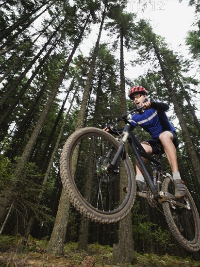 Mountain biker in mid-air on forest trail. Date : 2008