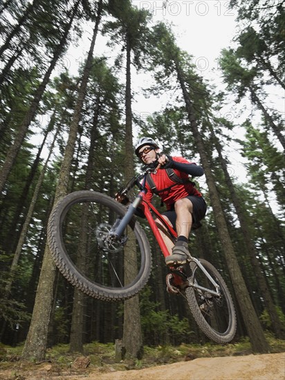 Mountain biker in mid-air on forest trail. Date: 2008
