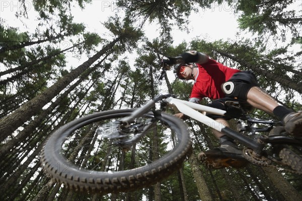 Mountain biker in mid-air in forest. Date: 2008