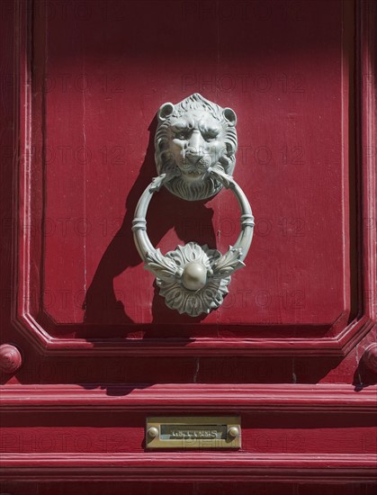 Decorative door knocker.