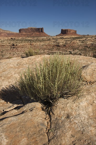 Monitor and Merrimack buttes, Utah.