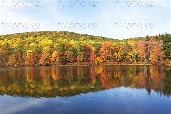 Autumn foliage, Bear Mountain, New York. Date : 2008