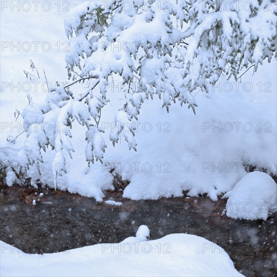 Snowy stream in winter.