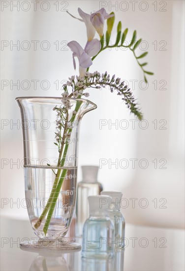 Tropical flowers in glass vase.