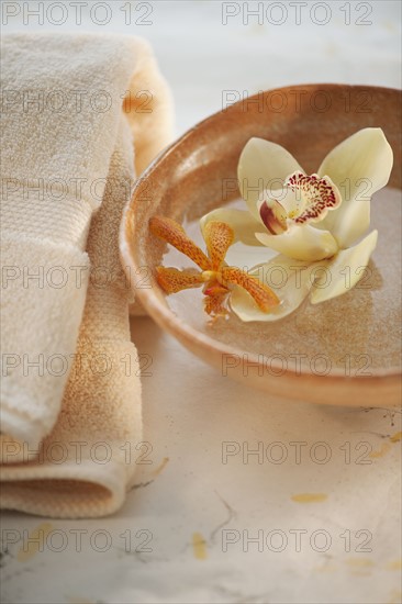Tropical flowers in bowl of water.
