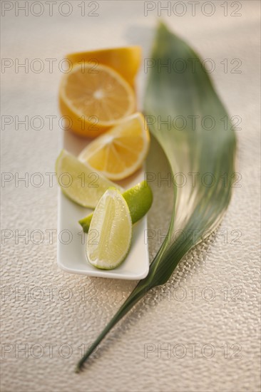 Citrus slices on tray.