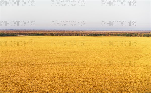 Rural landscape. Photographe : fotog