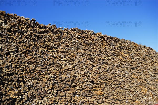 Stack of wood stakes. Photographe : fotog