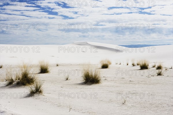 White sand dunes. Photographe : Sarah M. Golonka