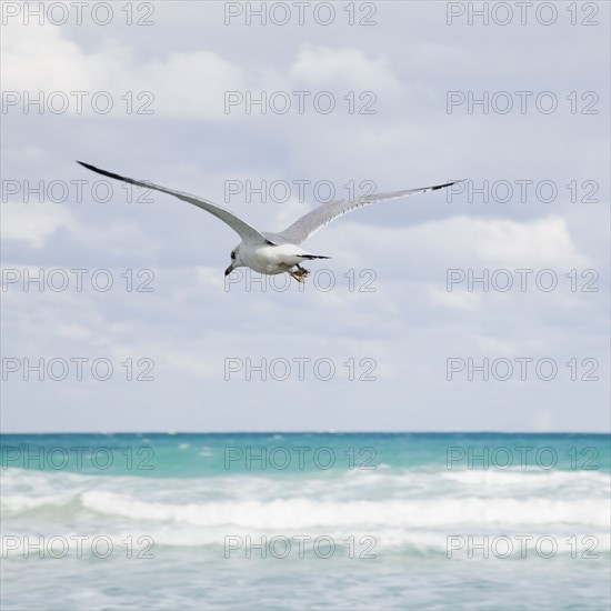 Tropical seascape. Photographe : Jamie Grill