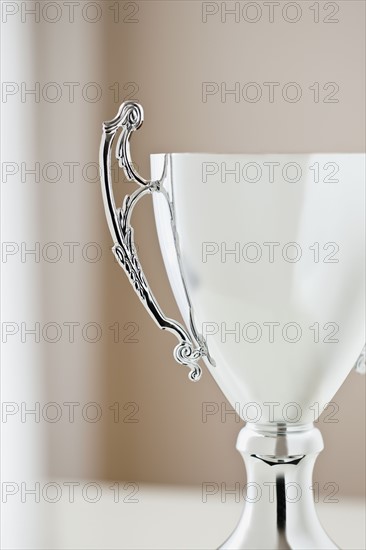 Close up of trophy.