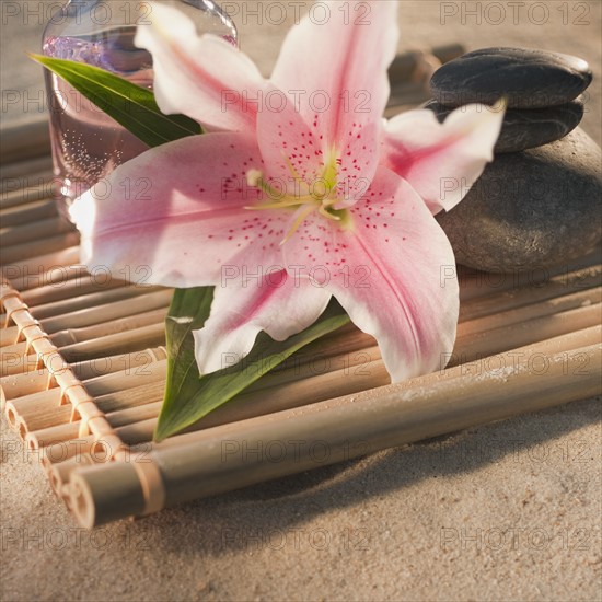 Tropical flower and spa elements.