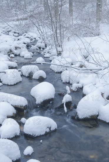 Snowy stream in winter.