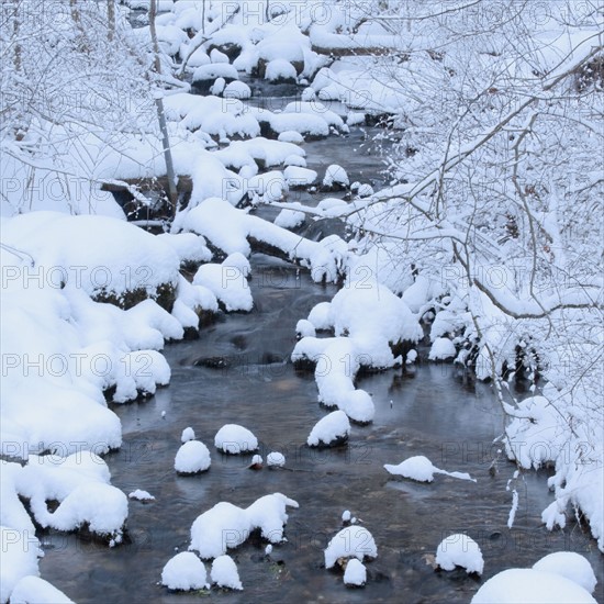 Snowy stream in winter.