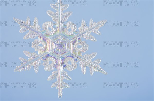 Snowflake decoration. Photographe : Kristin Lee