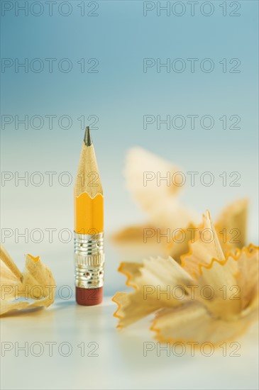 Stubby pencil and shavings. Photographe : Daniel Grill