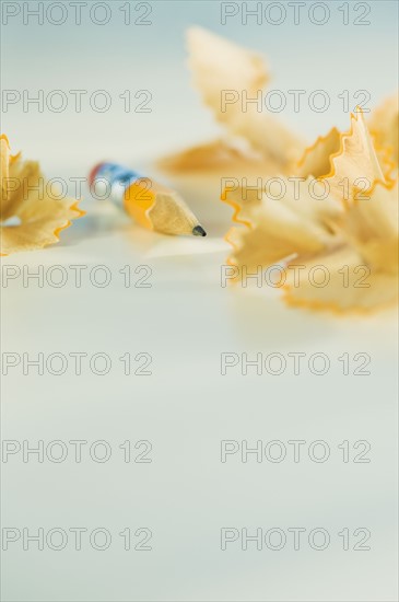 Stubby pencil and shavings. Photographe : Daniel Grill