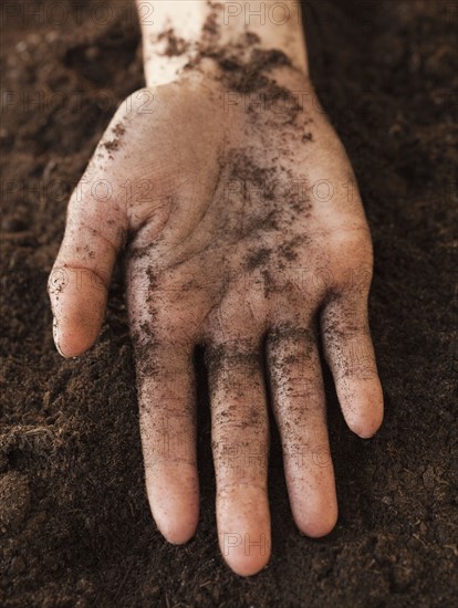 Woman planting sapling. Photographe : Jamie Grill