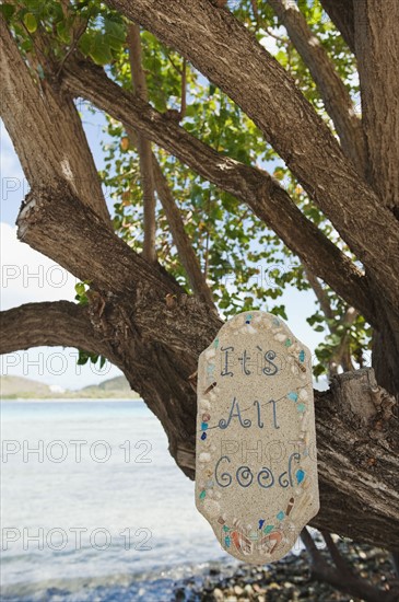 Optimistic sign on tropical tree.