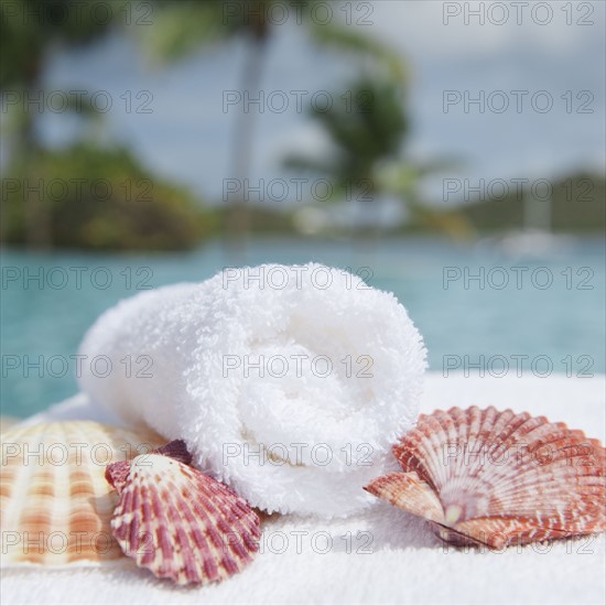 Spa towel and seashells.