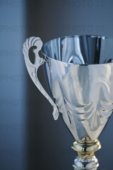 Silver trophy.