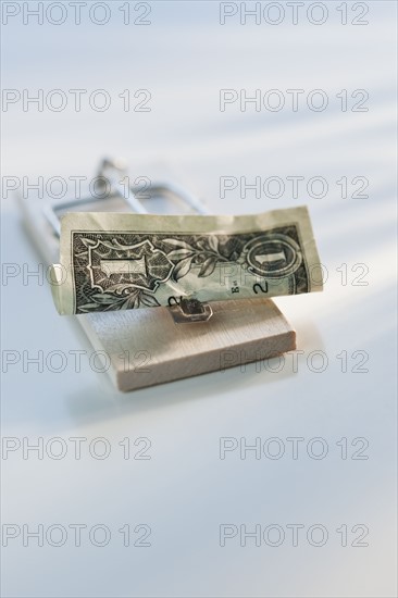 Dollar bill on mouse trap.