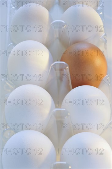 Brown and white eggs.